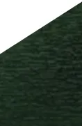 NUANCIER VERT SAPIN
